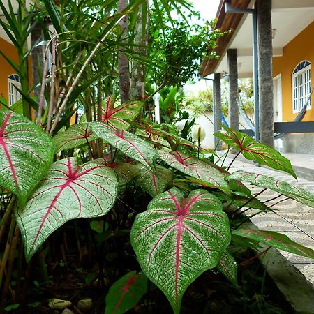 Villa Do Sonho Pousada Hotel Araquari Exterior foto